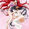 flat750x075f pad750x750f8f8f8 41 - High School DxD Merch