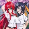 flat750x075f pad750x750f8f8f8 44 - High School DxD Merch