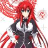 flat750x075f pad750x750f8f8f8 5 - High School DxD Merch