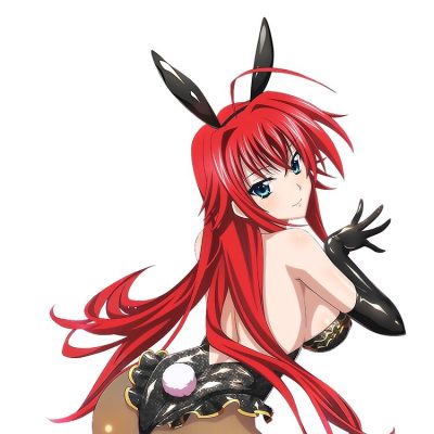 flat750x075f pad750x750f8f8f8 63 - High School DxD Merch